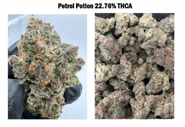 Petrol Potion - THCA Flower - 100% Compliant