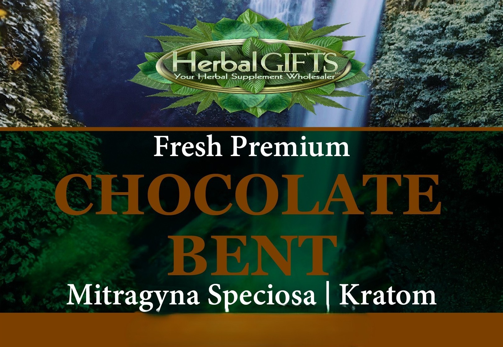 Chocolate Bent Kratom - Image 2